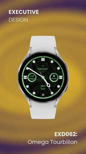 EXD062: Omega Tourbillon Face screenshot 9