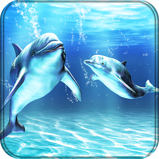 Dolphins Live Wallpaper Free – Apps on Google Play