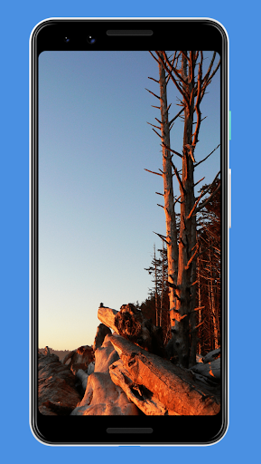 Android application Washington Wallpapers screenshort