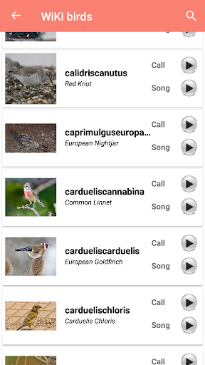 Bird Identification Screen 2