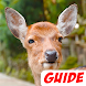 guide for deer animals america - Androidアプリ