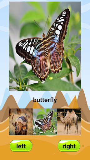 Animal Games for Kids