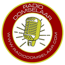 「Radio Domselaar FM 91.1 MHZ」圖示圖片