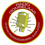 Radio Domselaar FM 91.1 MHZ