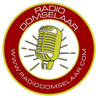 Radio Domselaar FM 91.1 MHZ