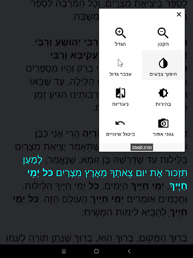 Haggadah - הגדה Screen 3