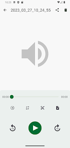 ASR Voice Recorder APK 509 for android 5