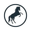 Horse Poser 1.1.5 загрузчик