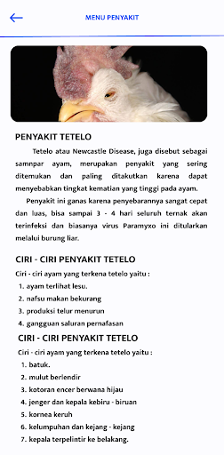 DiyamApps Screen 3