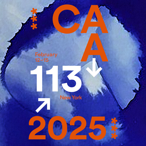CAA 113 Logo