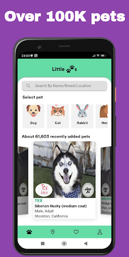 Android application Little Paws Adopt: Adopt a Pet screenshort