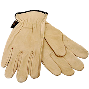 Top 10 Education Apps Like HSE.PPE.Gloves - Best Alternatives