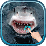 Magic Touch Shark Attack icon
