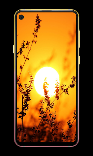 Sun Wallpapers Screen 2