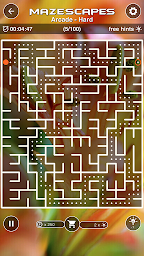 Mazescapes Amazing Maze