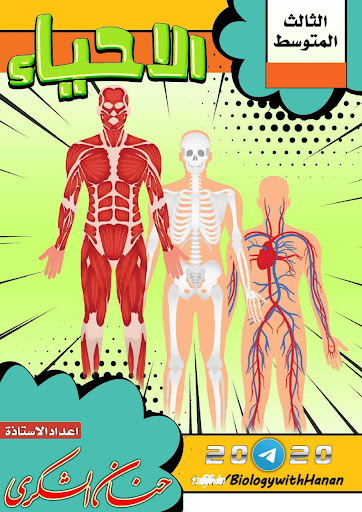 ملازم الثالث متوسط