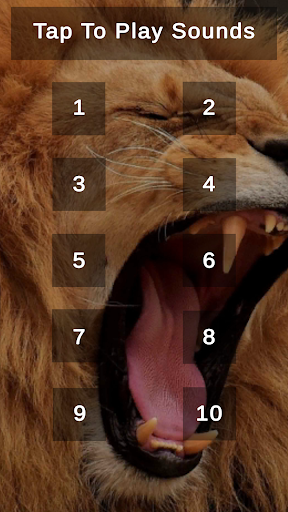 Lion Roar Wild Beast Sounds Screen 2