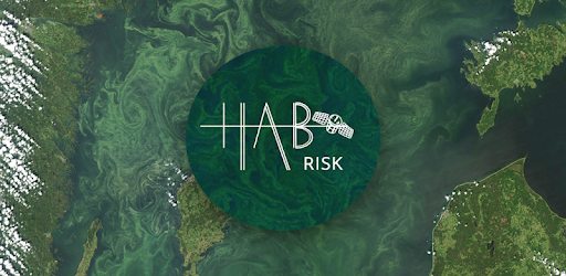 HAB Risk - Cyanobacteria forec