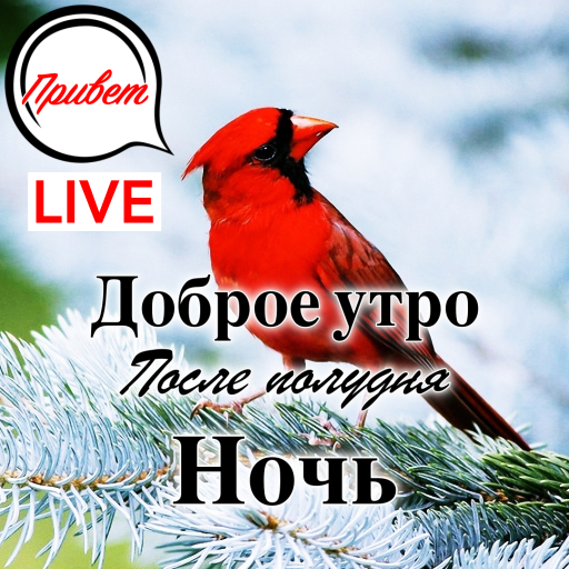 Russian Good Morning to Night - AppWisp.com