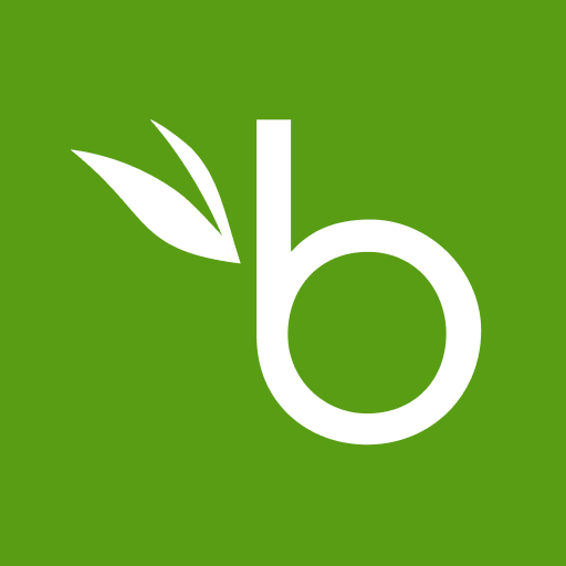 BambooHR 4.4.5.859 Icon