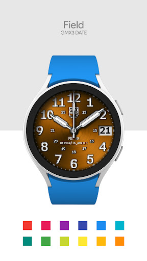 GMX3 Field Date Screen 2