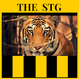 Soy del Tigre - The Strongest icon
