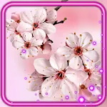 Cover Image of Download Sakura China Cherry  APK