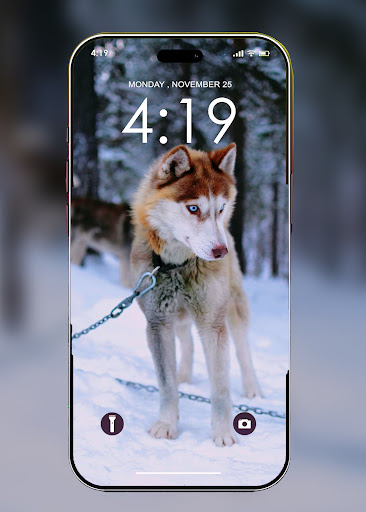 Wolf Wallpaper HD Screenshot 2 - AppWisp.com
