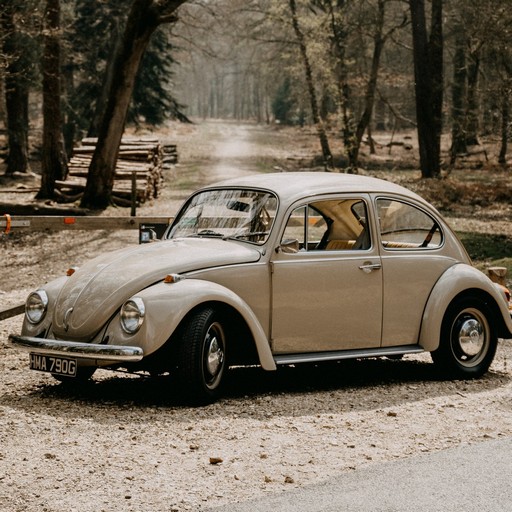 Beetle Car Wallpaper Download on Windows