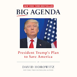Icon image Big Agenda: President Trump's Plan to Save America