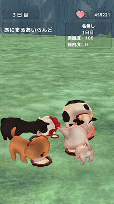 Pet Game dog,cat,rabbits, etc! - Screenshot 3