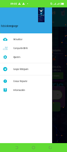 Vpn Fidsistemjorge Screen 2