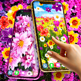Flowers live wallpaper icon