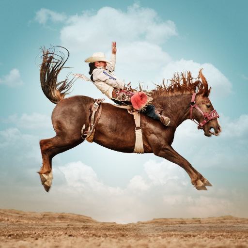 Rodeo Wallpapers HD Download on Windows