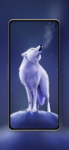 Android application Wolf Wallpapers HD 4k screenshort