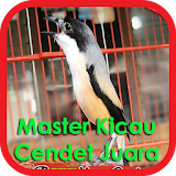 Master Kicau Cendet Juara icon