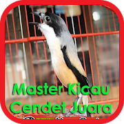 Master Kicau Cendet Juara