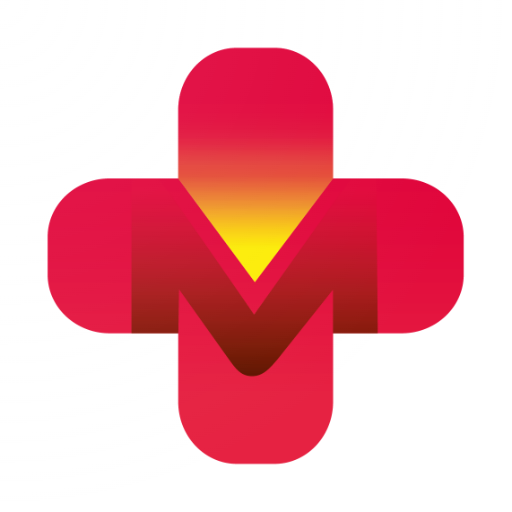 ASET RSMM logo