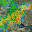 Storm Tracker Weather Radar Download on Windows