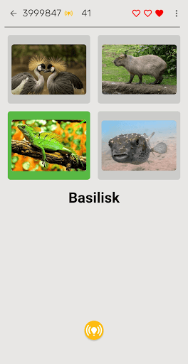 Wild Animals. Learn by Playing