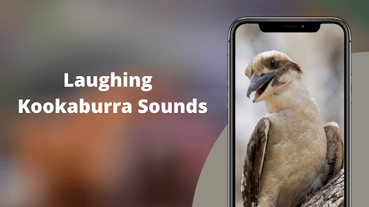 Laughing Kookaburra Sounds