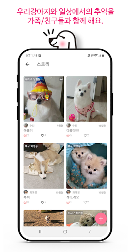 위글즈 강아지산책 동네친구만들기 반려견 애견산책 Screen 2