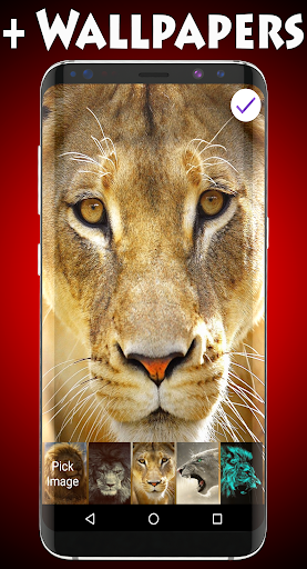 Lions Lock Screen & Wallpapers Screen 3