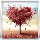 Autumn Love Live Wallpaper icon