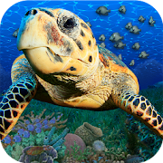 Top 29 Entertainment Apps Like Popar Sea Life - Best Alternatives