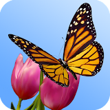 3D Butterfly Garden Wallpaper icon