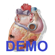 Sonidos Cardiacos Demostración 1.0 Icon
