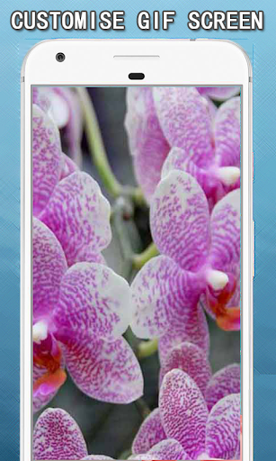 Flowers GIF Collection Screen 3
