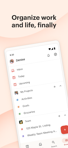 Todoist: Planner & Calendar 1