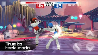 Taekwondo Game Screenshot